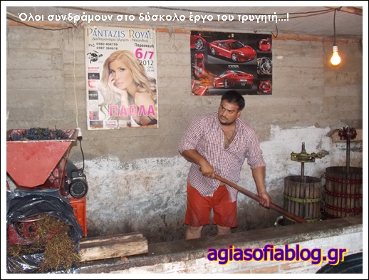 7 πάολα